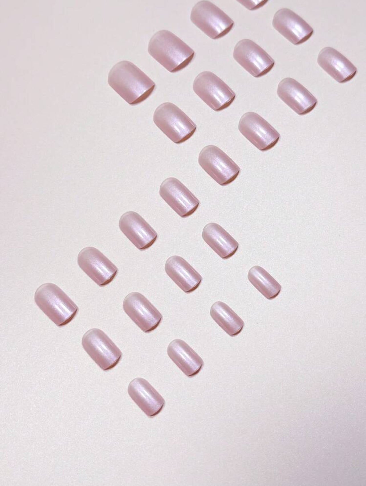 PURPLE SHELL