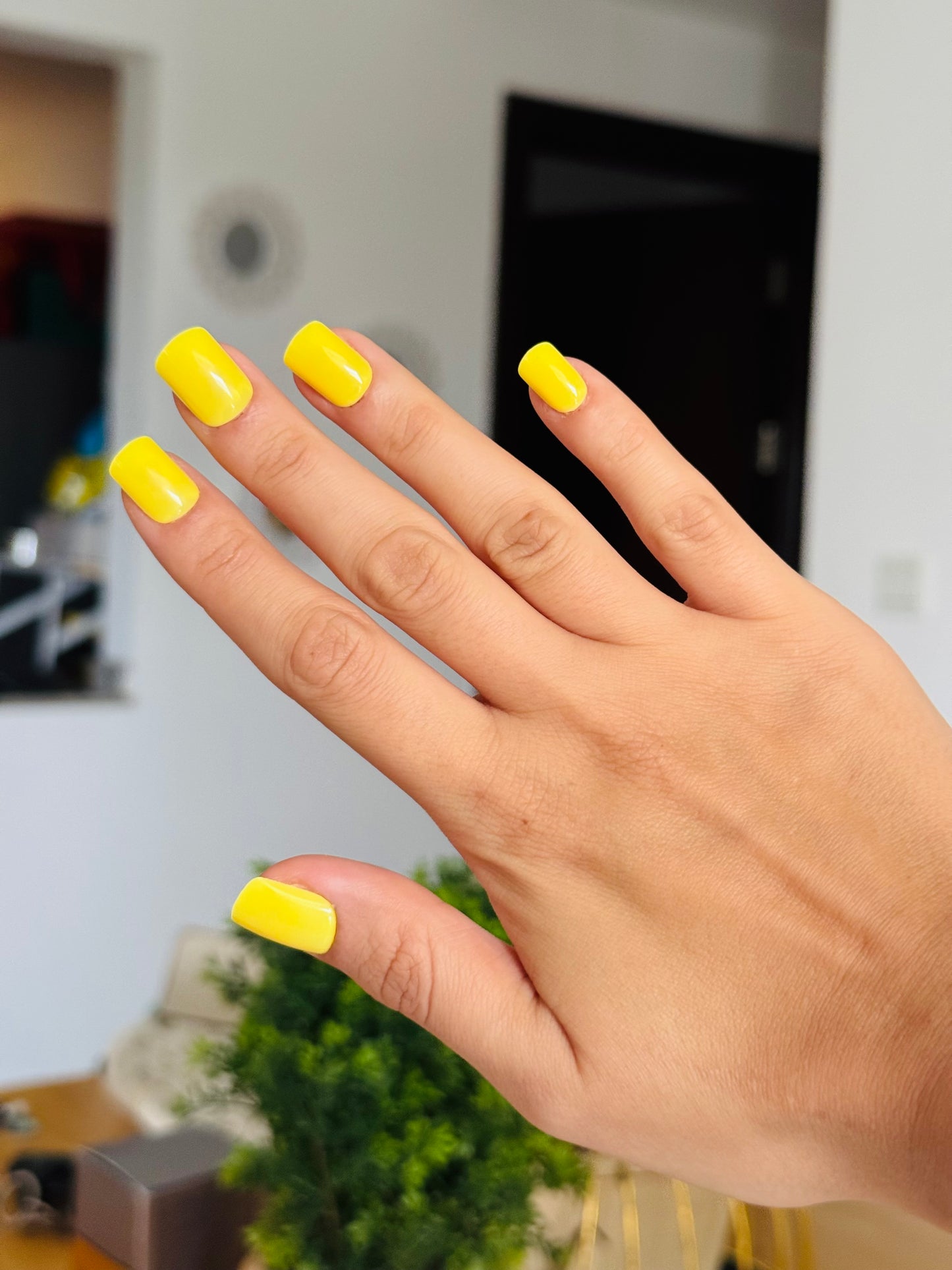 LEMONADE