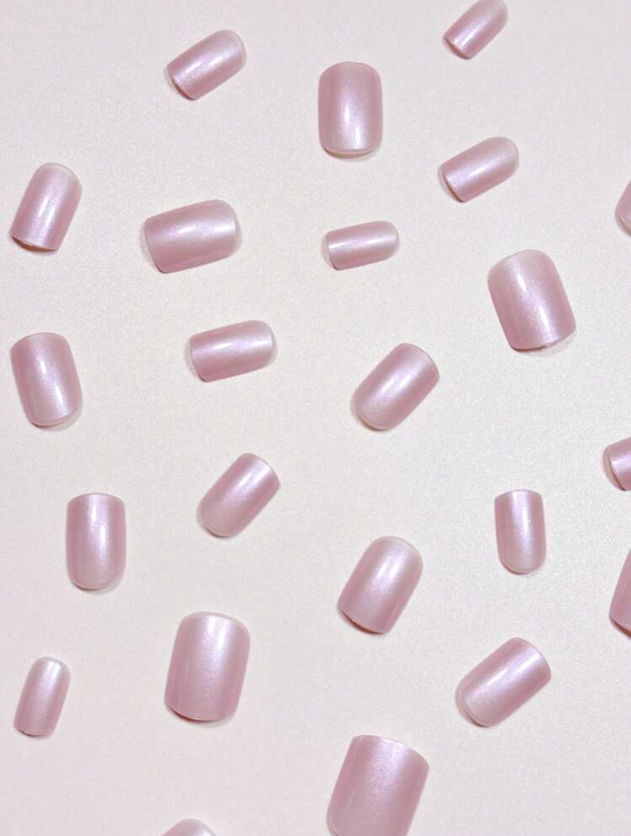 PURPLE SHELL