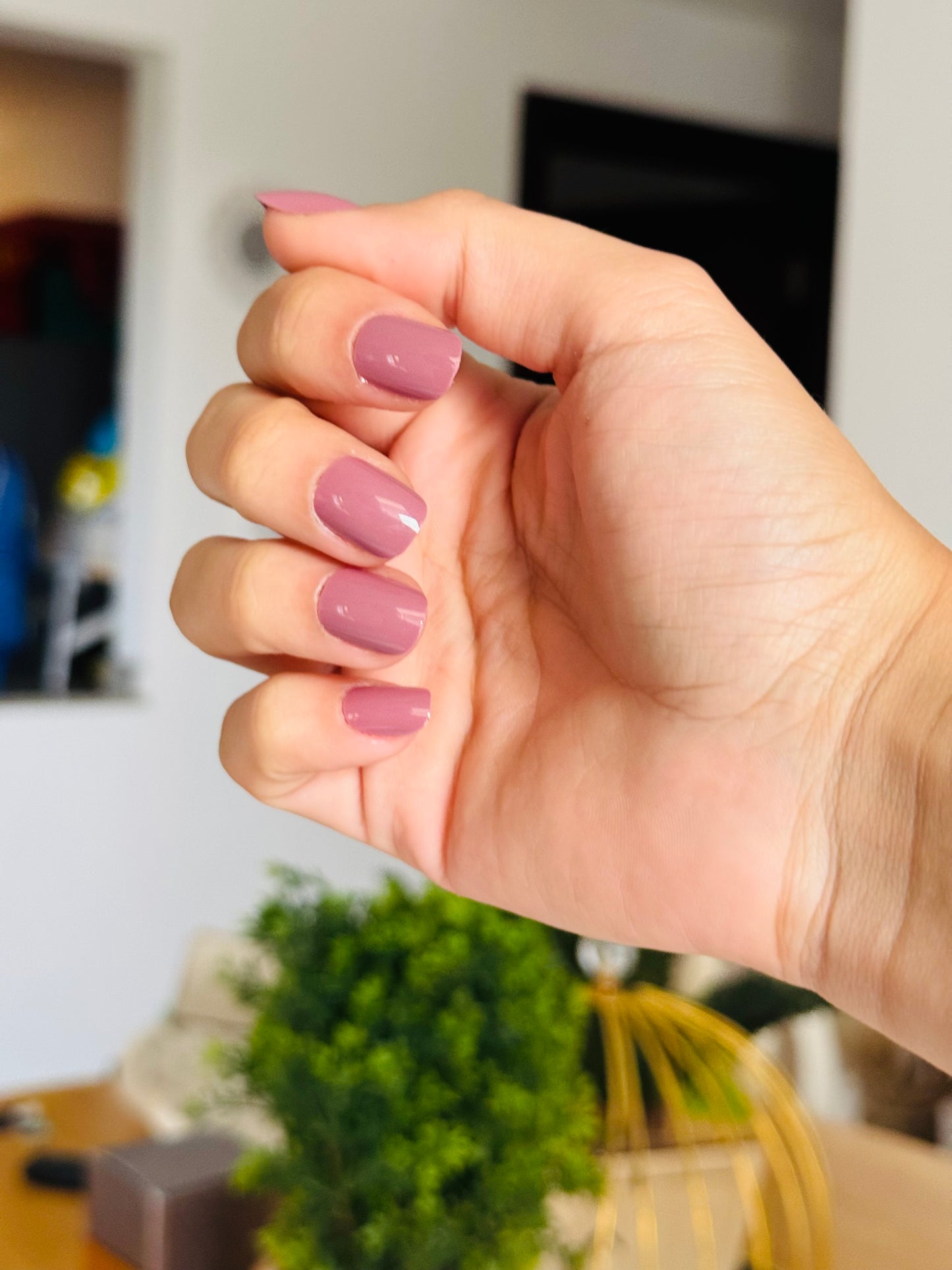 MAUVE OVER