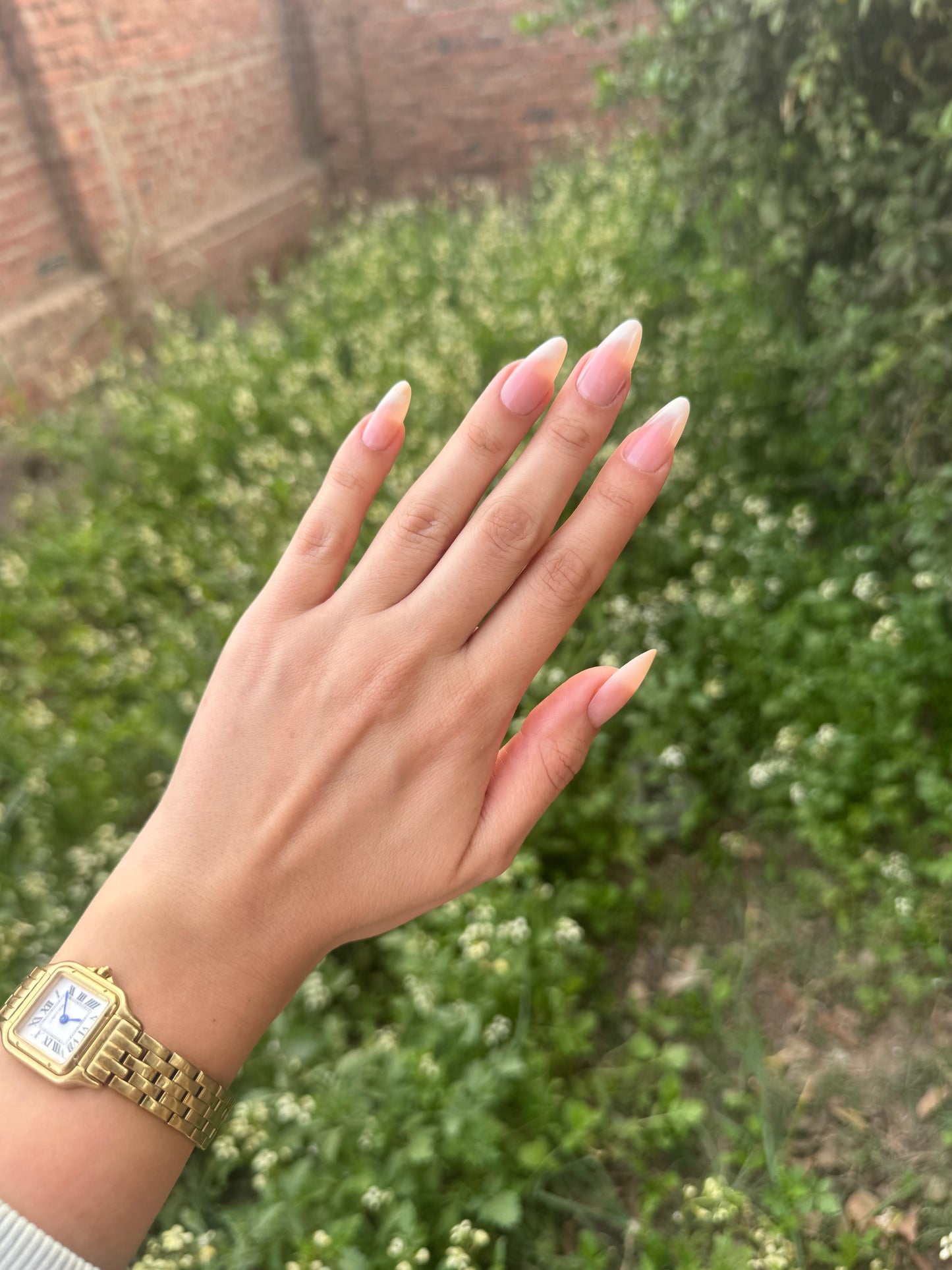 PINK VANILLA FRENCH