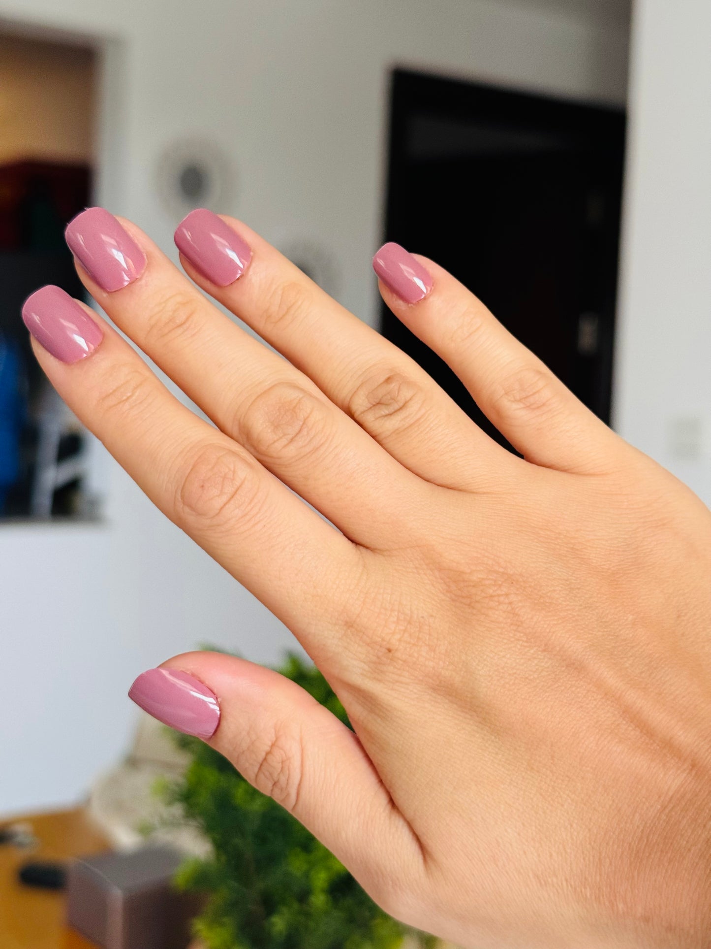 MAUVE OVER